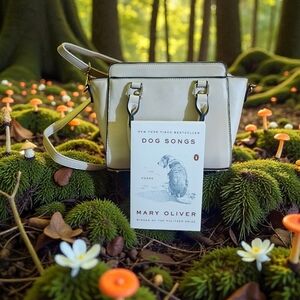 Handbag | Cream | Purchased In Mexico | Silky Lining | Free Book